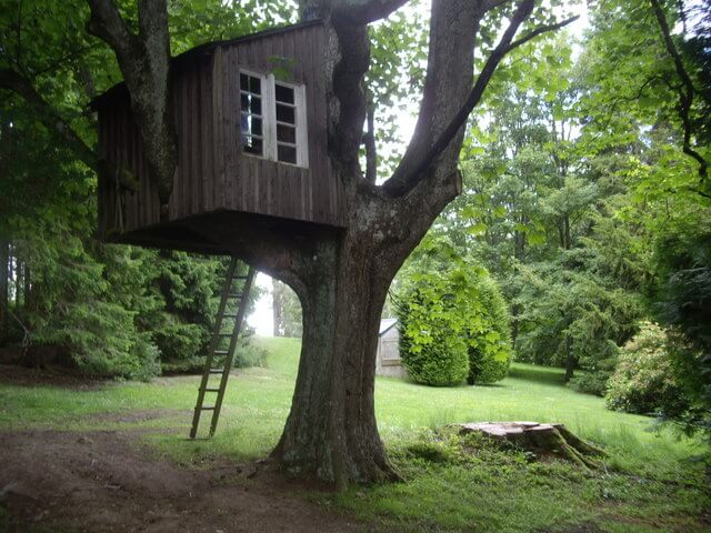 Brooklyn Man Will Build Tree House From Trash Brooklyn Magazine