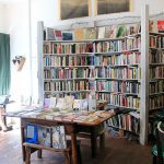 Chess Night in a Changing Neighborhood: A Look at Bushwick’s Molasses Books
