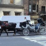 De Blasio To Ban Horse Carriages, Offer Taxi Permits to Drivers