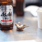 Inside the Sumo Wrestling Party at Brooklyn Kitchen