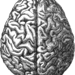 Where to Eat Brains in Brooklyn