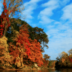 100 Free or Super Cheap Things to Do in Brooklyn This Fall