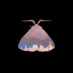 Album of the Month: Chairlift’s Moth