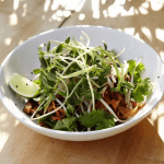 Selamat Pagi Is Home to Our Favorite Vegetarian Dish in Brooklyn Right Now