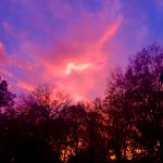 2105: The Year of Being Afraid