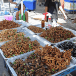 Something You Might Be Eating More of In 2016 (and Beyond): Insects!