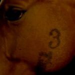 Wounds of the Mind: Zoltán Huszárik’s Rare Shorts at the Spectacle