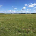 Midwestward Ho! On the Wonders of Vacationing in the Middle of America