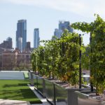 Meet the Universe’s—and Brooklyn’s—First Rooftop Vintage Wine