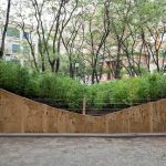 A Tour of Spencer Finch’s Redwood Forest in Downtown Brooklyn