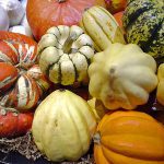 Life Beyond Tomato Season: Brooklyn Chefs Wax Poetic on the Culinary Upsides of Fall