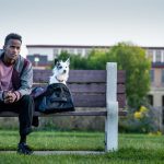 Disappointing Movies Come in All Sizes: A Stray
