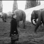 “Man Can Do Anything”: Alexander Kluge on ‘Artists Under the Big Top: Perplexed’