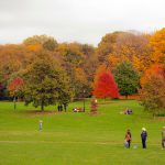 New Places to Drink Wine: A Day with the Prospect Park App