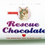 Good is the New Cool : Rescue Chocolates, Deliciousness that Helps Dogs and Cats