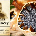 Confessions of an American Opium Eater