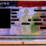 Artists on Edge: How Sure is a Visa in Trump’s Brooklyn?