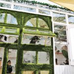 Loosie’s Cafe Embraces Day Drinking AND Matcha Spirulina Donuts