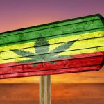 How to Get a New York Medical Marijuana Certification 100% Online