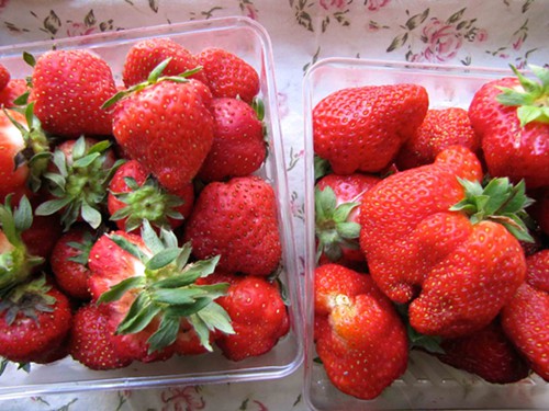 strawberries1.jpg