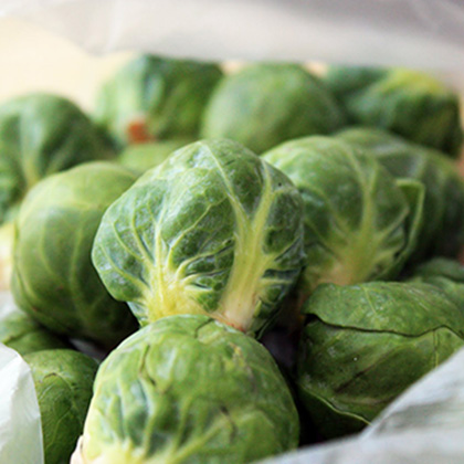 Brussel-Sprouts_new.jpg