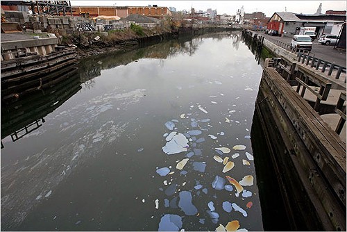 gowanus-canal-pollution.jpeg