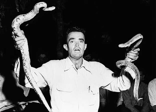 Does this look like fun to you? If so, consider becoming a snake handler!