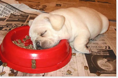 This little guy has the right idea. This little guy has the right idea.