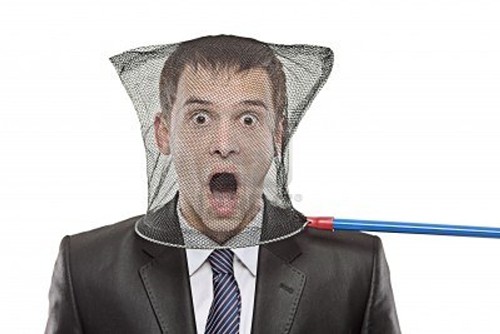 netdude.jpeg