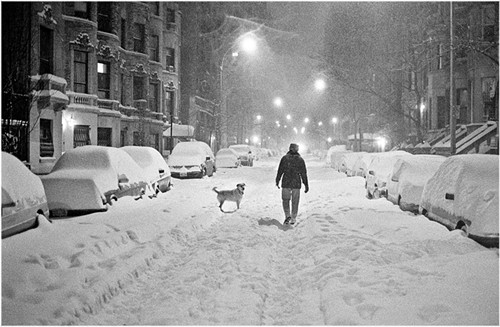 blizzard-pooch-1996-copy.jpg
