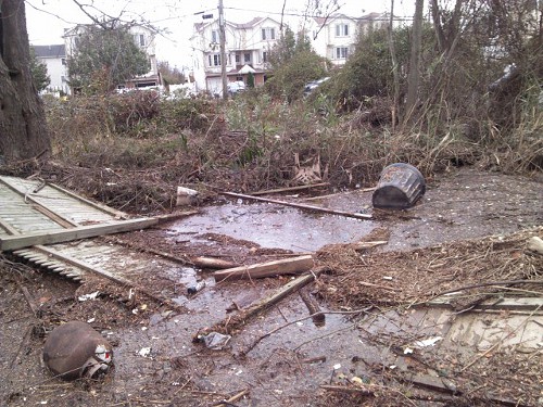 A backyard in Staten Island—reduced to a swamp