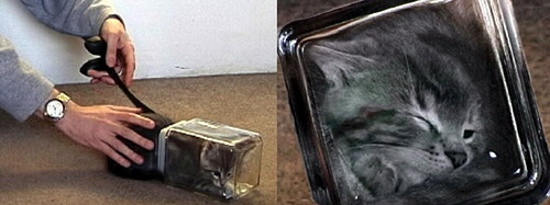 Screen_Shot_2012-11-12_at_5.38.02_PM.png