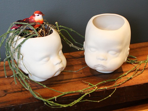 This plant lives very unironically. Because it is a plant. In a babys skull. This plant lives very unironically. Because it is a plant. In a babys skull.