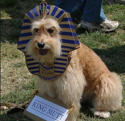 Well, glad this picture exists.