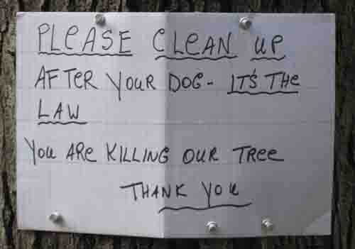 Oh, these are the people who call 311.