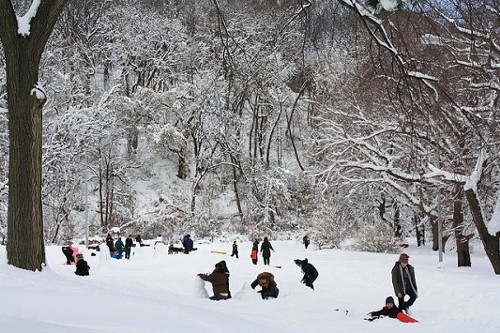 Beautiful! I miss the snow already.