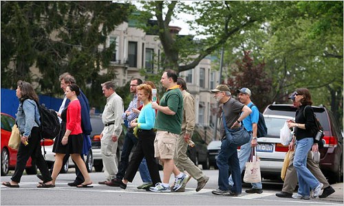 Brooklyn walking Bay Ridge