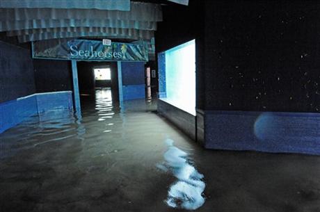 New York Aquarium Sandy flooding Coney Island