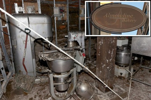 Almondine DUMBO Sandy