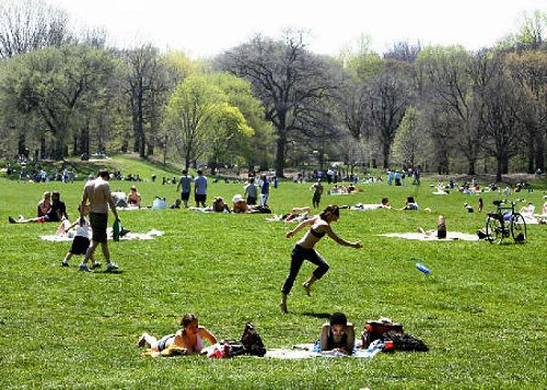 alg-prospect-park-jpg.jpeg