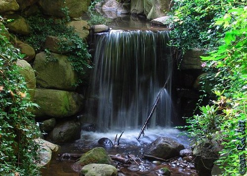 Prospect Park waterfall