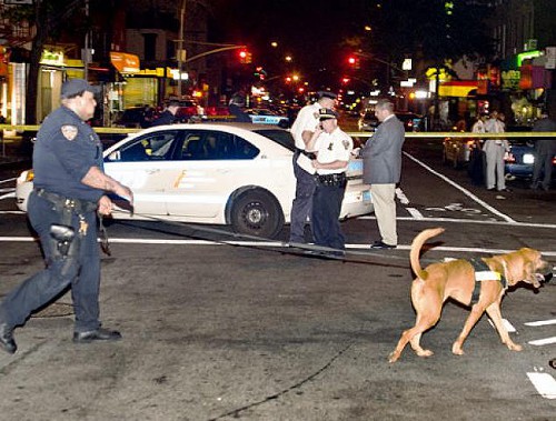 Park Slope murder