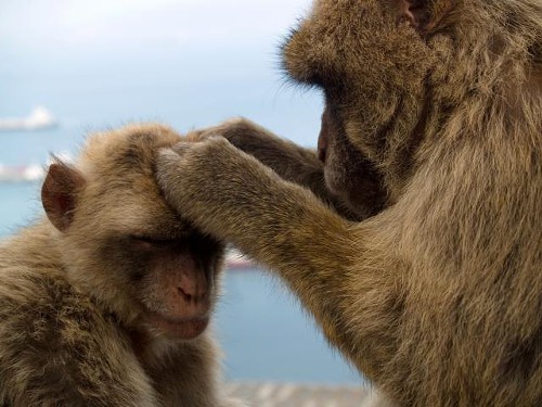 This is what love looks like. This is what love looks like.