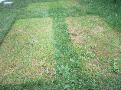 Prospect Park Nethermead Great Googa Mooga