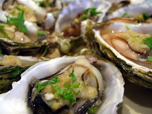oysters1.jpg