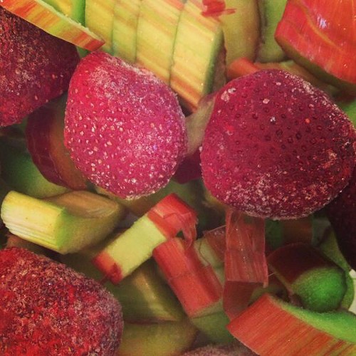 Ingredients for a strawberry rhubarb juice. Ingredients for a strawberry rhubarb juice.