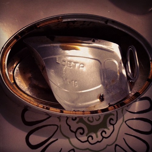 Can of squid in own ink