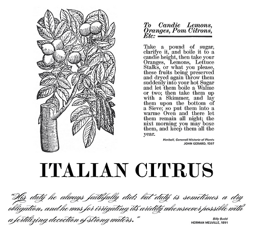 The inspiration for DS & Durgas Italian Citrus