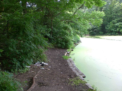 Prospect Park Lullwater Trail