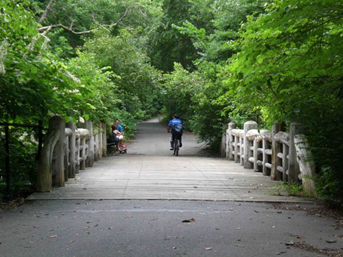 Prospect Park Music Grove Bridge